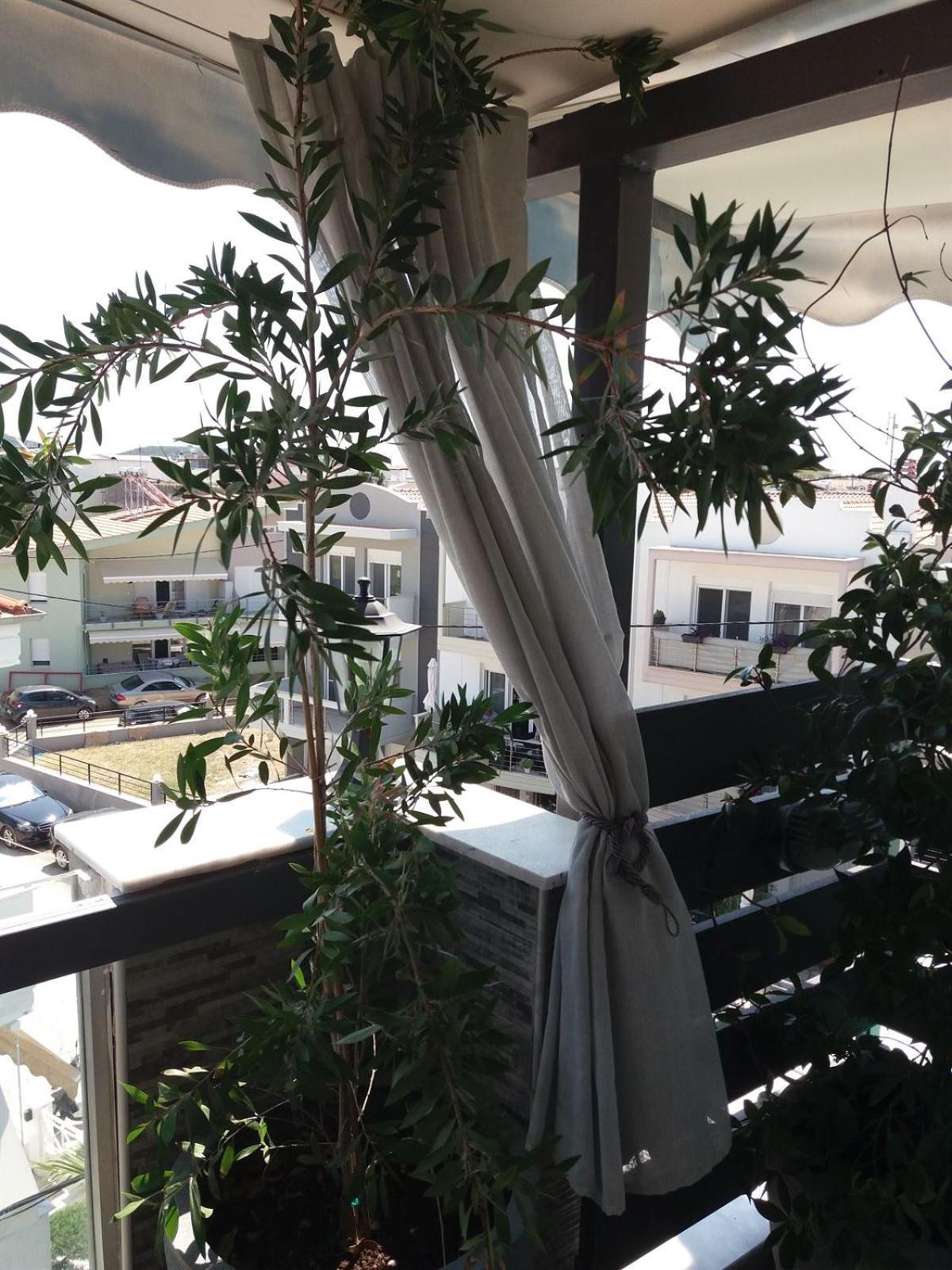 Green House Néa Péramos Dış mekan fotoğraf