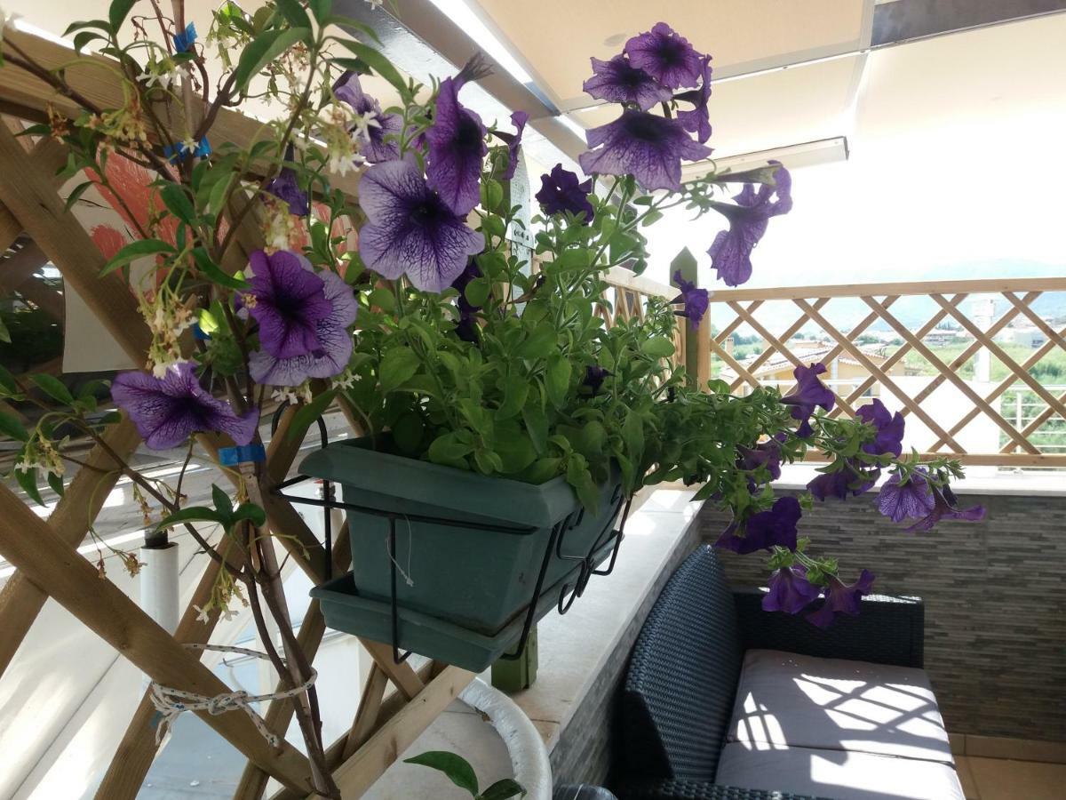 Green House Néa Péramos Dış mekan fotoğraf
